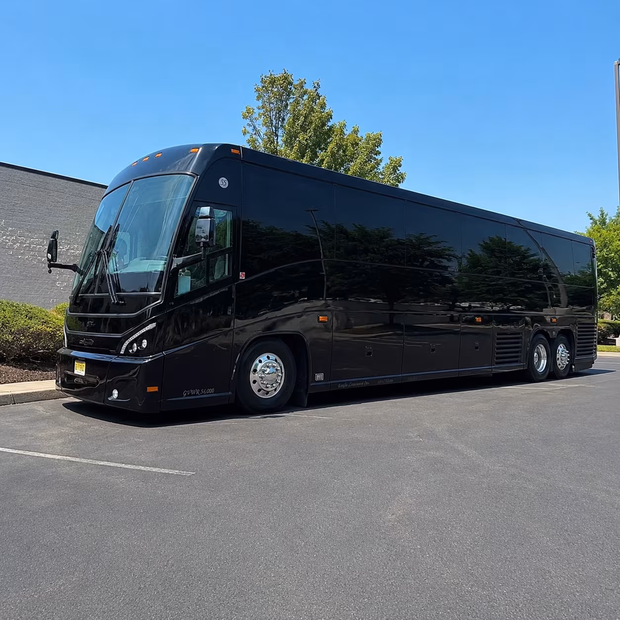 long distance charter buses to corpus christi san antonio and beyond for rgv sports fans