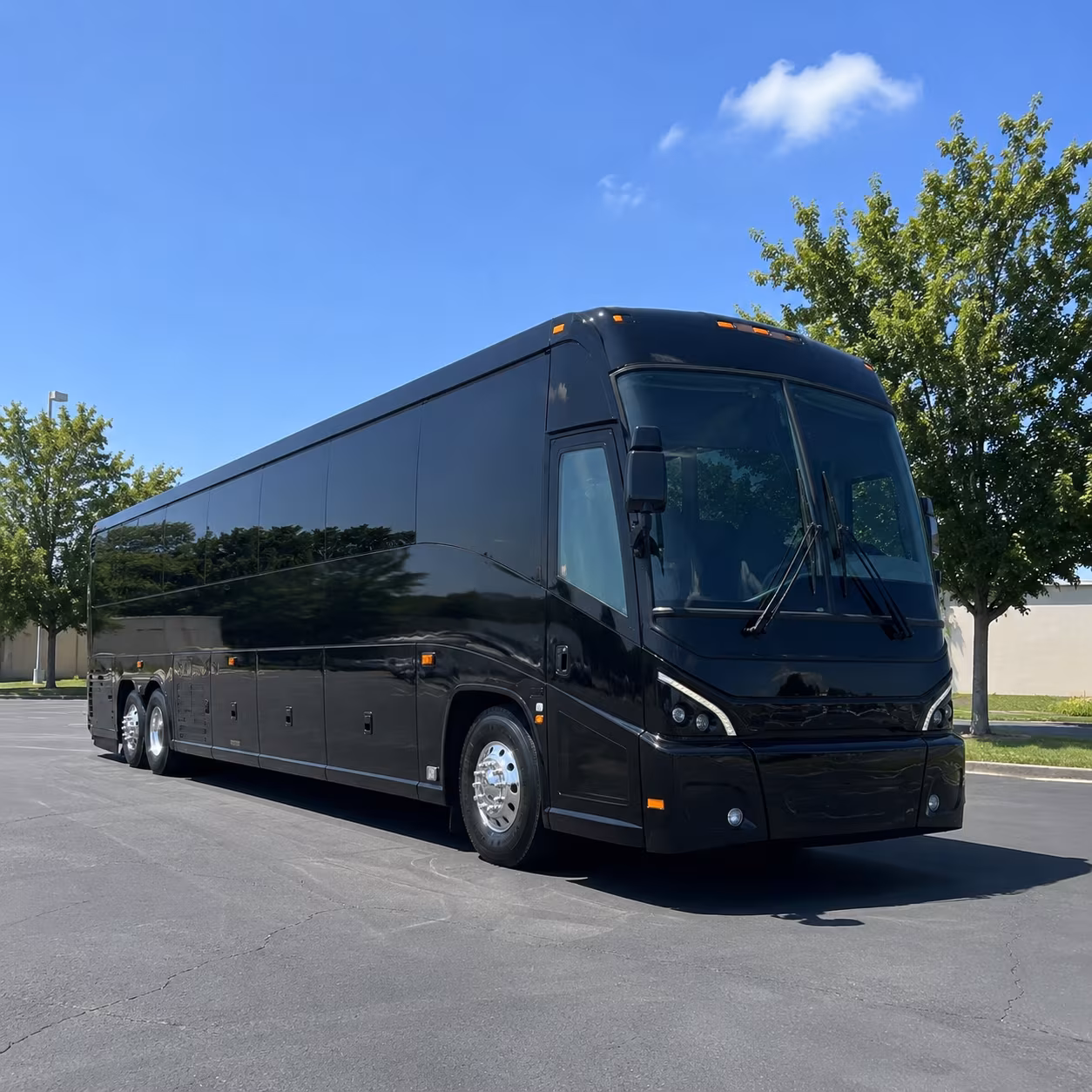 with busrentalharlingen com you can compare airport buses for any group size in harlingen